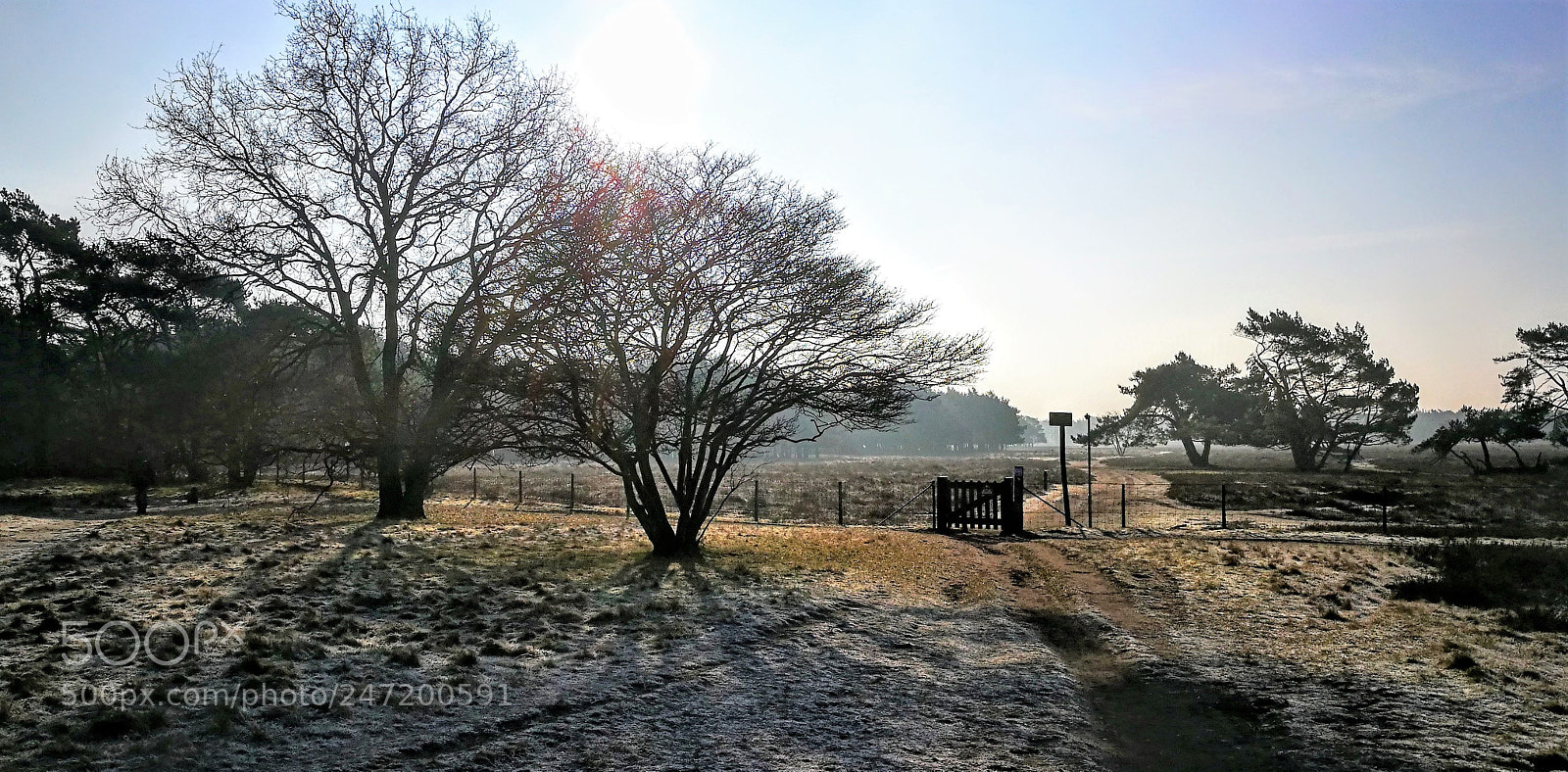 HUAWEI P9 sample photo. Cof photography