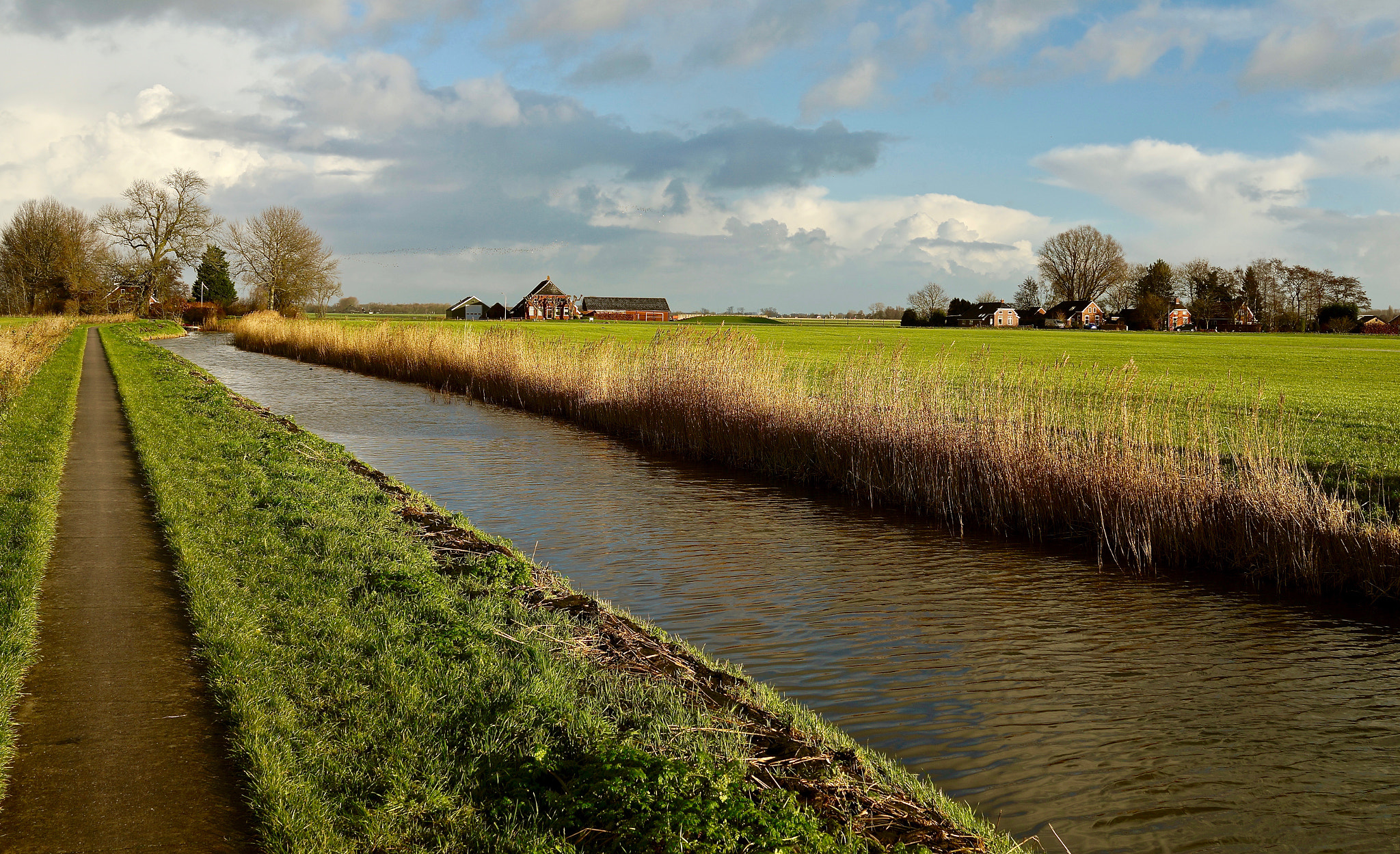 Sony Cyber-shot DSC-RX1R sample photo. Dutch landscape near garmerwolde photography