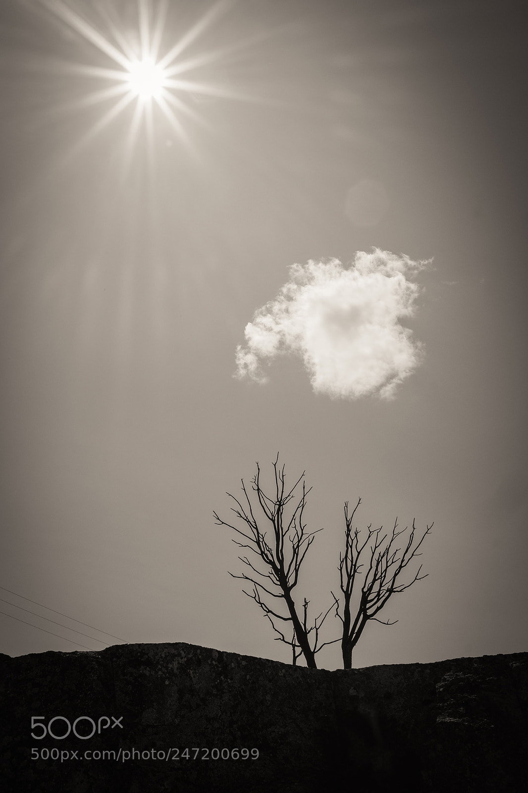 Fujifilm X-T1 sample photo. Open your hands photography