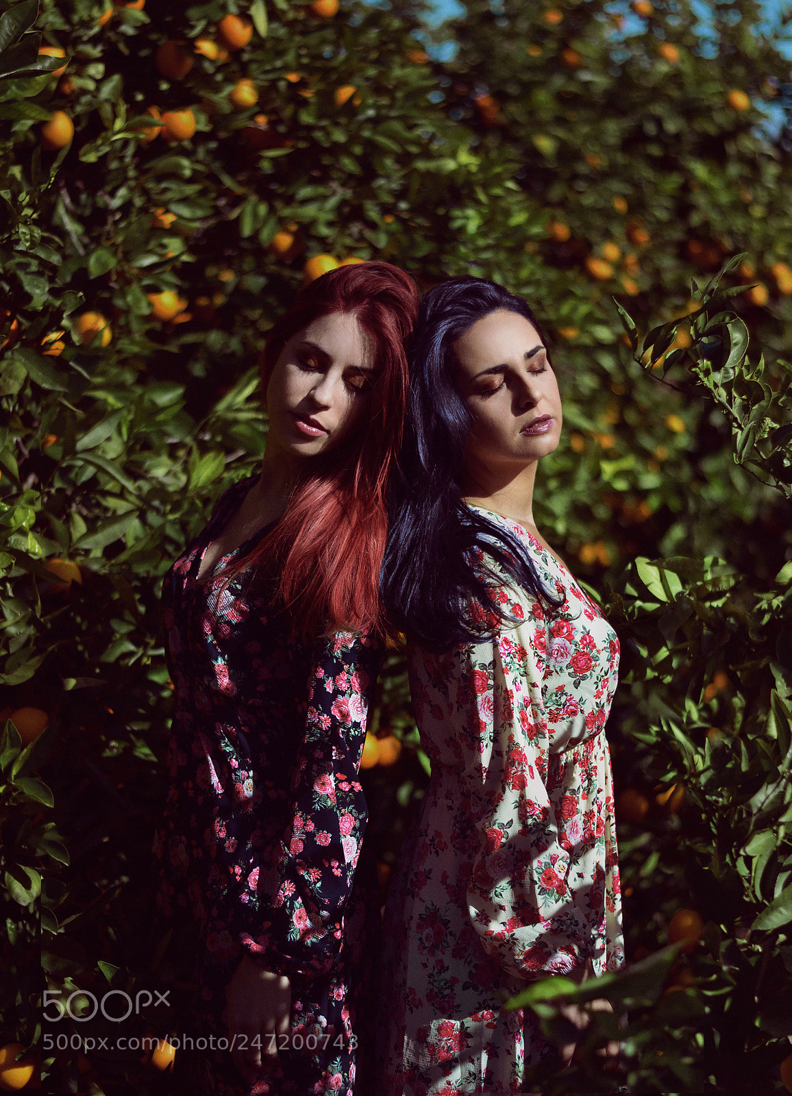 Nikon D3100 sample photo. Terracota photography