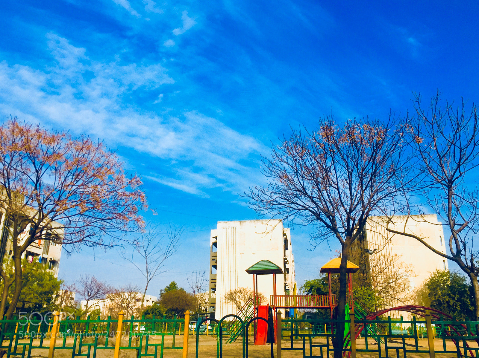 Apple iPhone 6 sample photo. Untitled photography