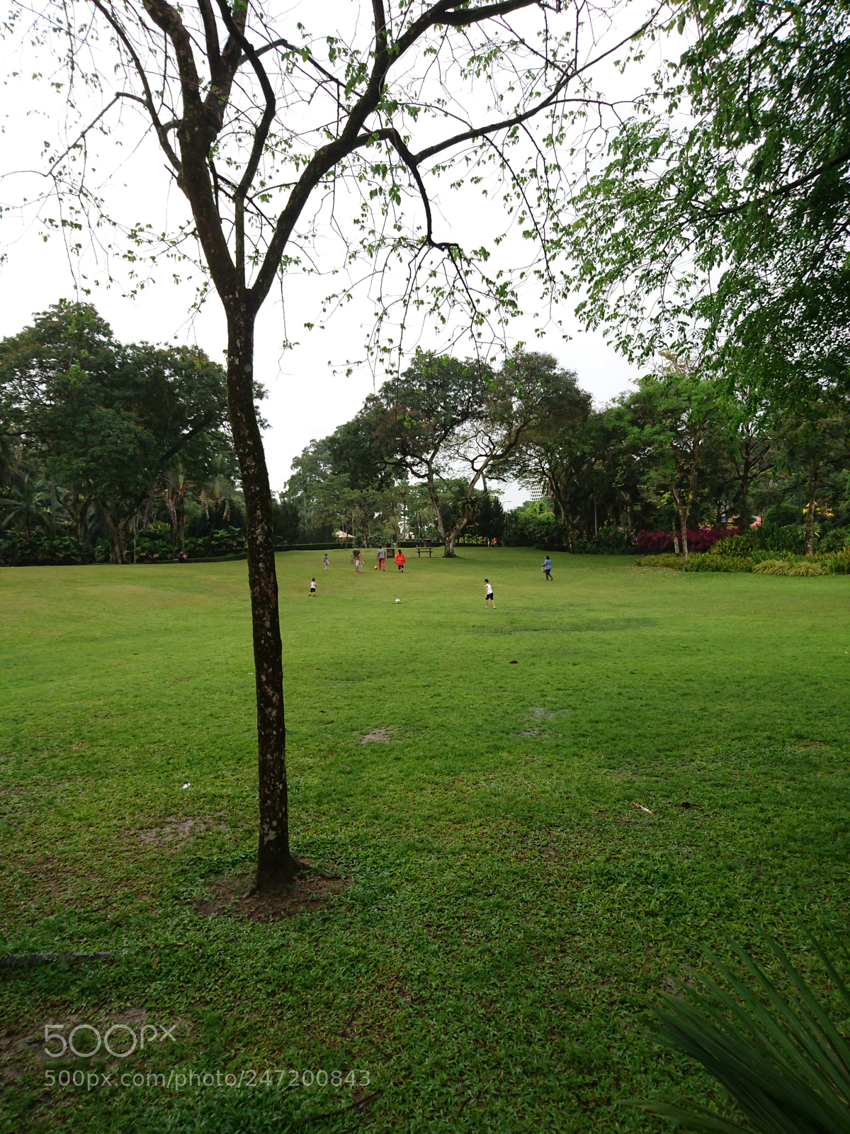 Sony Xperia Z5 sample photo. Untitled photography