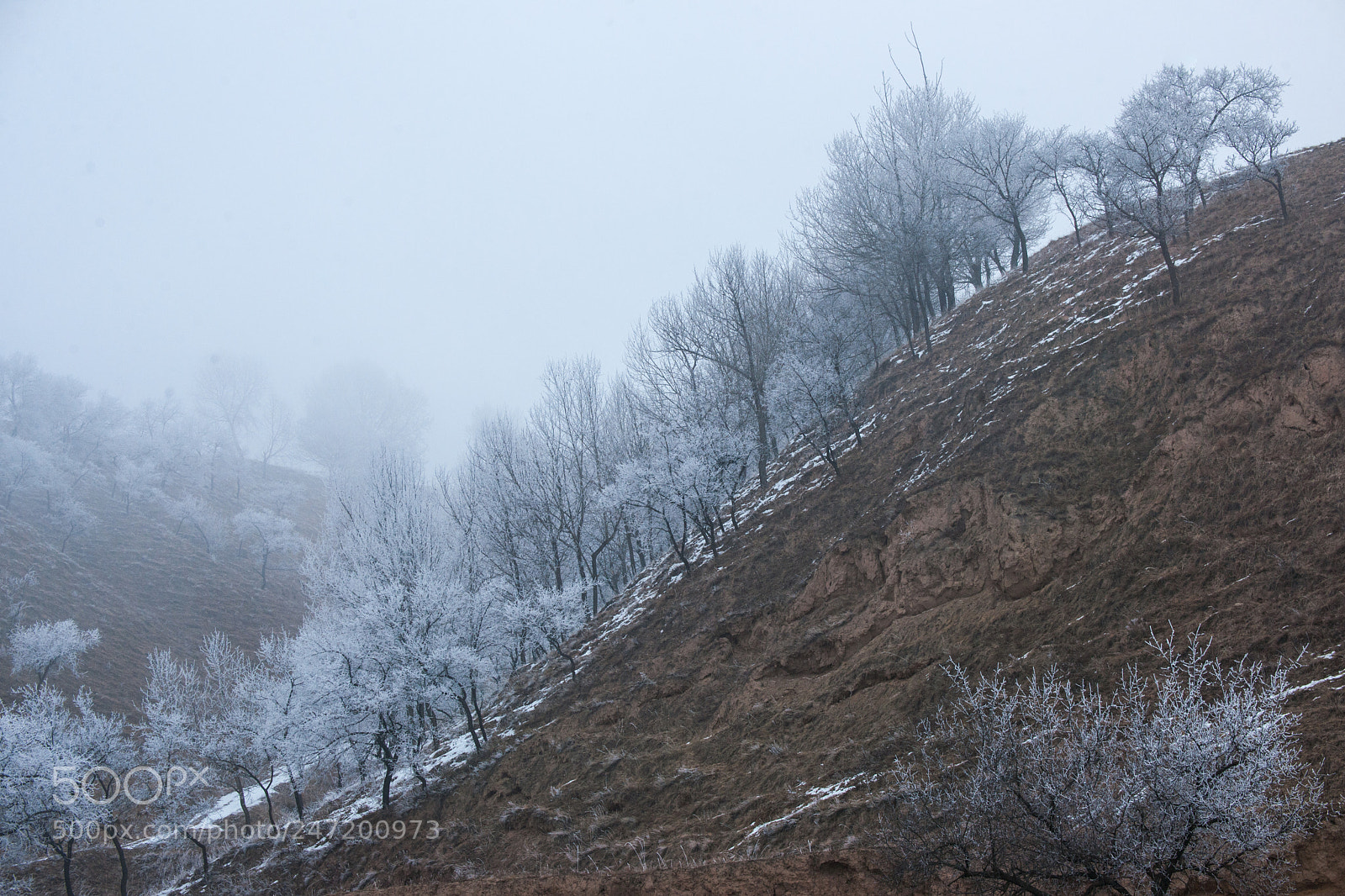 Nikon D3X sample photo. Untitled photography