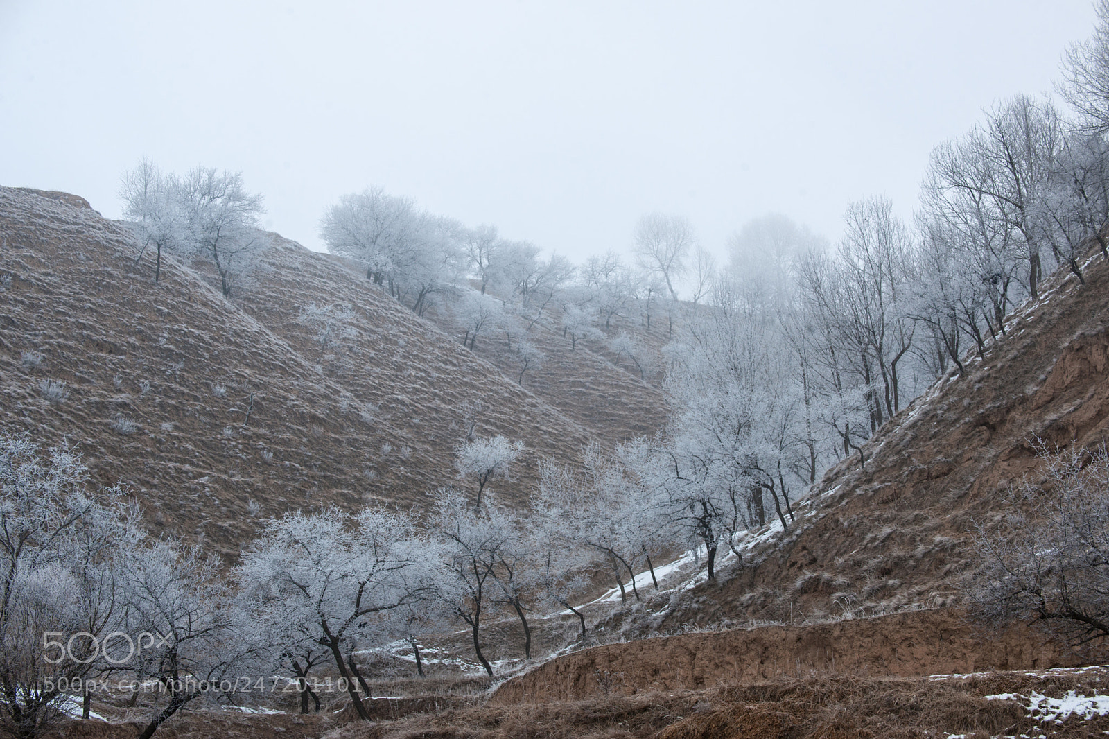 Nikon D3X sample photo. Untitled photography