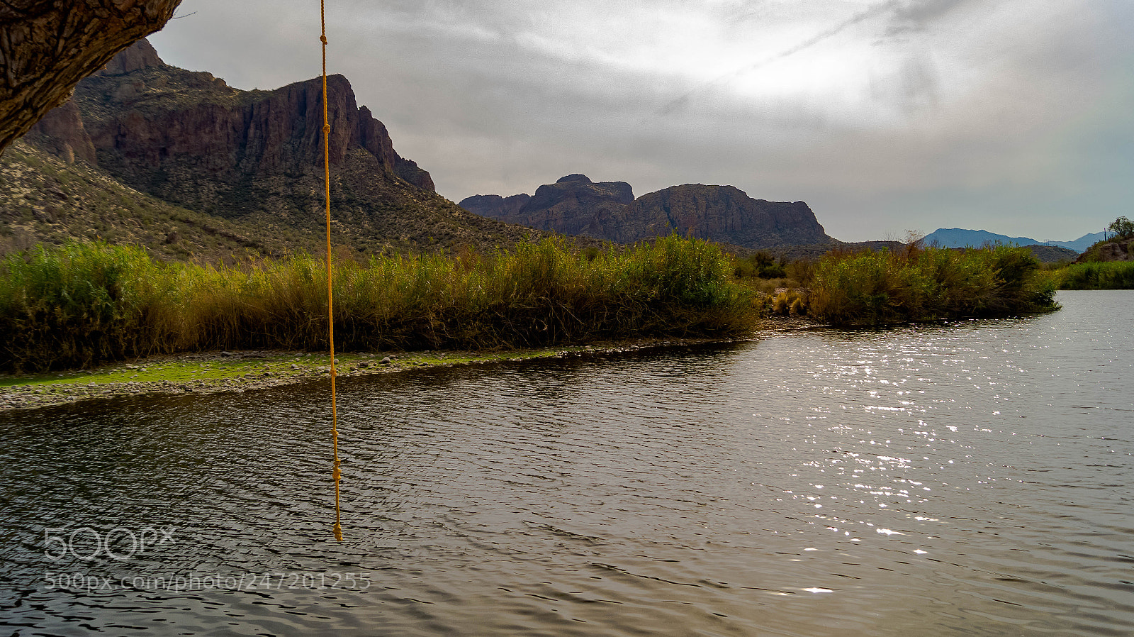 Sony SLT-A58 sample photo. Super rope swing photography