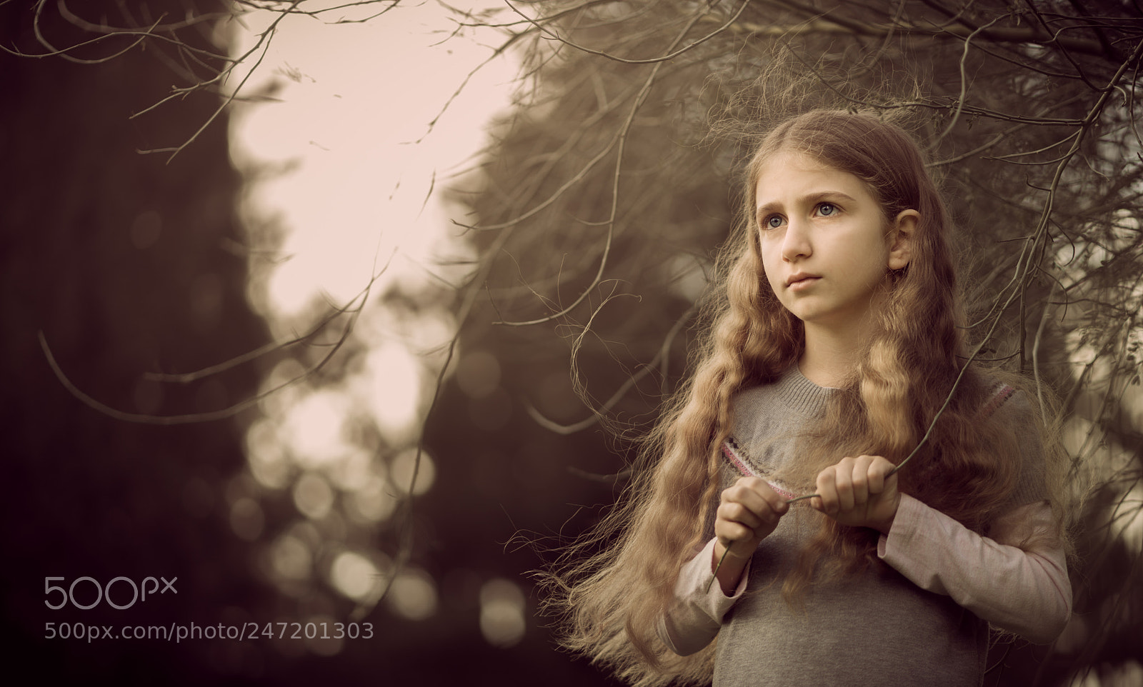 Sony a7R II sample photo. Dreamy forest photography