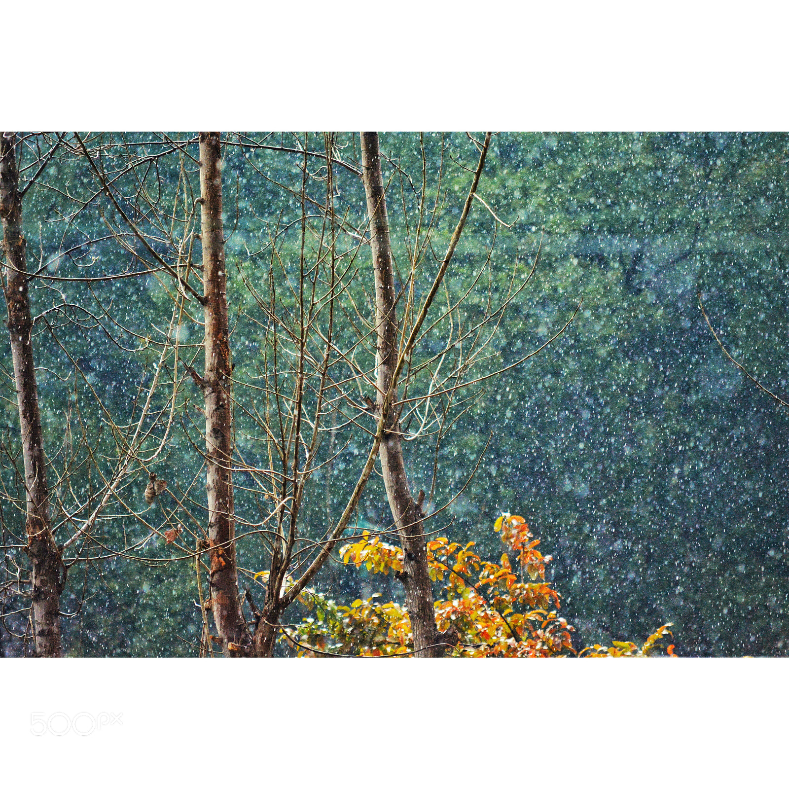 Nikon D5200 sample photo. Rainyday photography