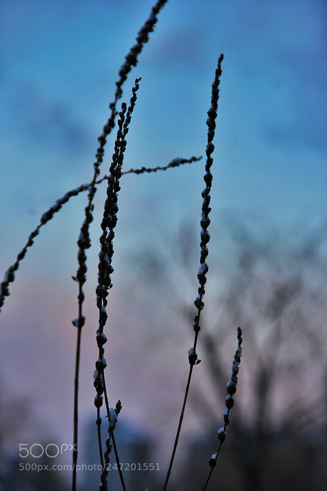Canon EOS 60D sample photo. Untitled photography
