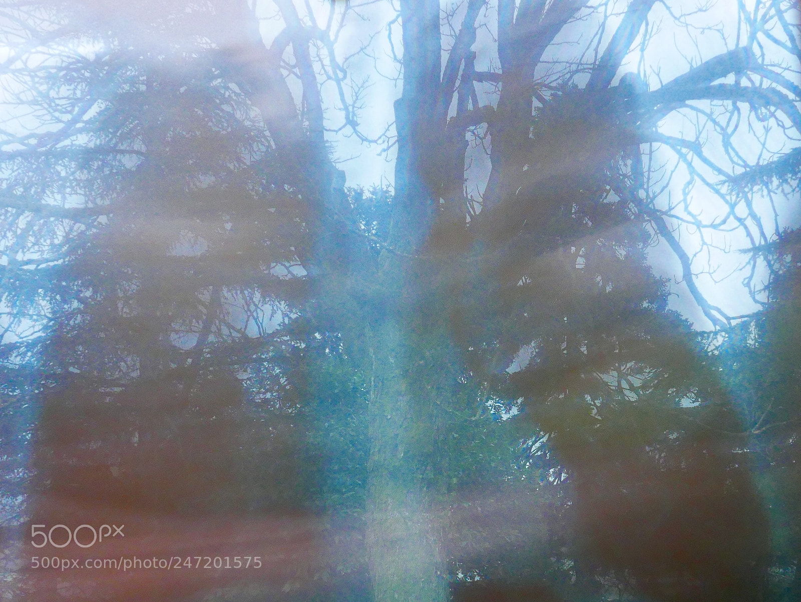 Panasonic Lumix DMC-LX100 sample photo. Deep in  heart photography