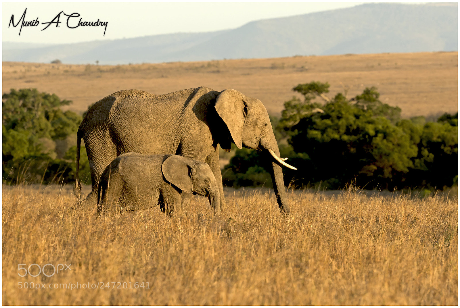 Canon EOS 7D Mark II sample photo. Ellie family at sunset! photography