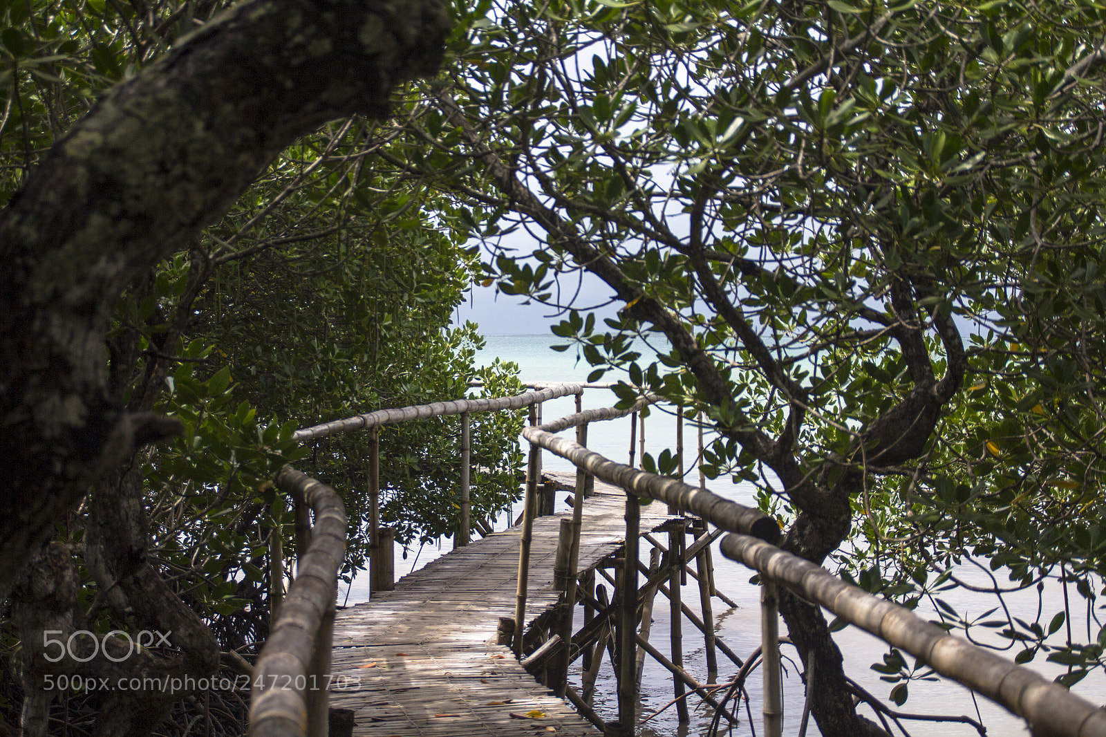 Canon EOS 60D sample photo. The path to photography