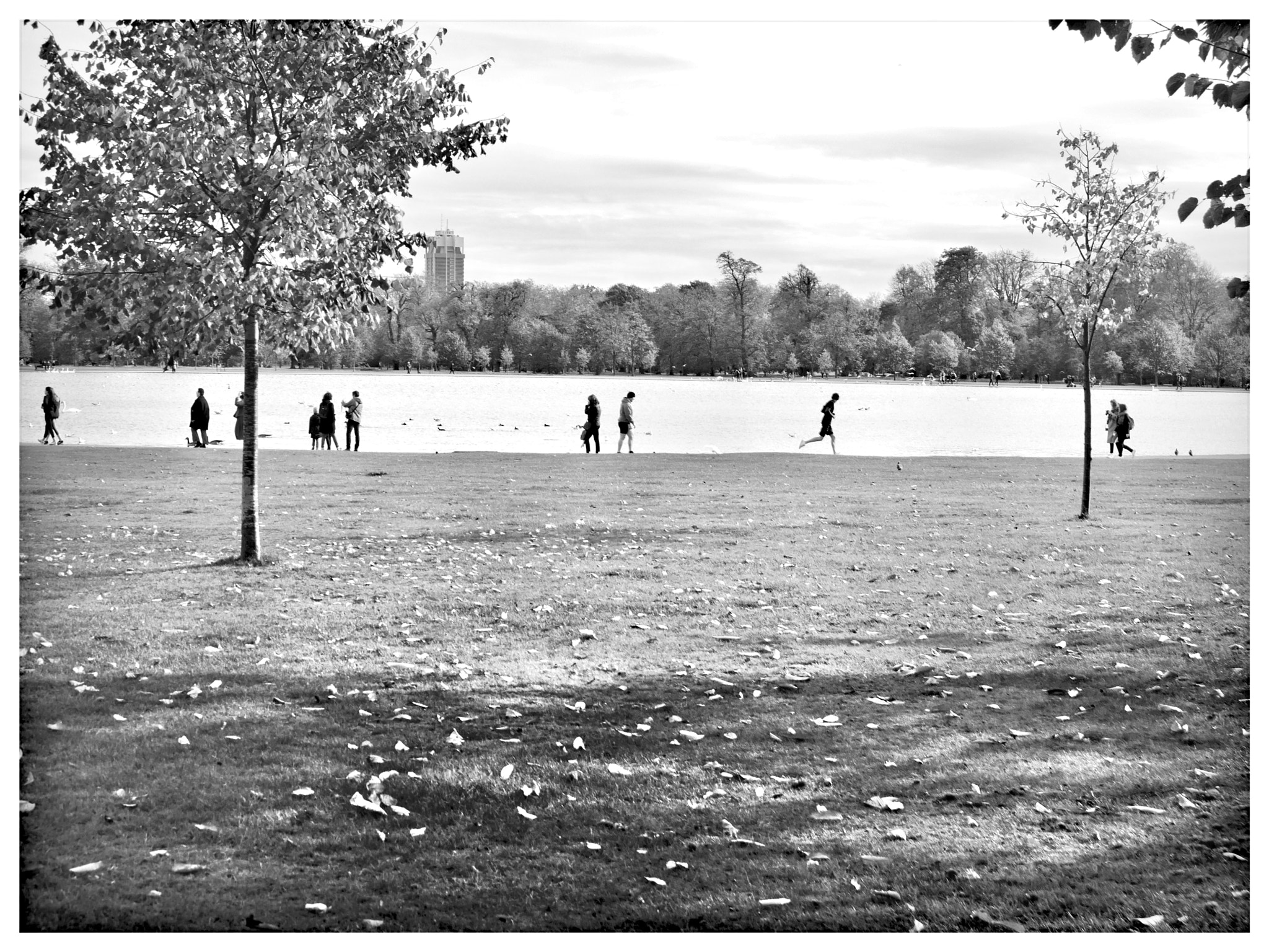 Panasonic Lumix DMC-GF6 sample photo. Kensington park photography