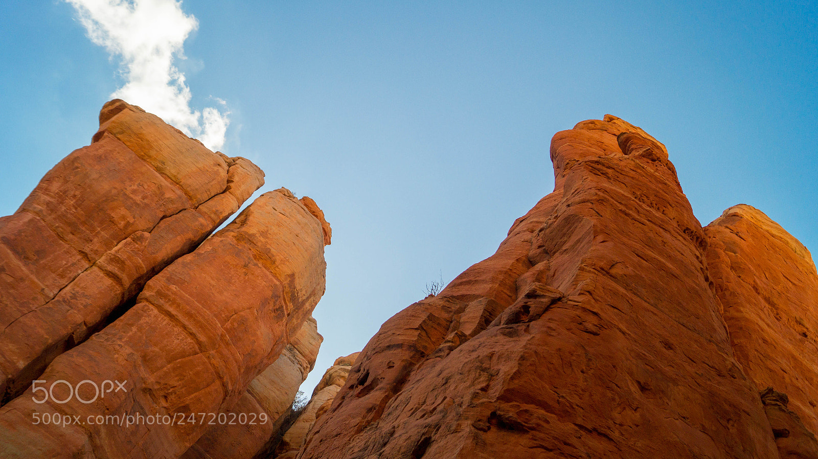 Sony SLT-A58 sample photo. Cathedral rock sedona az photography