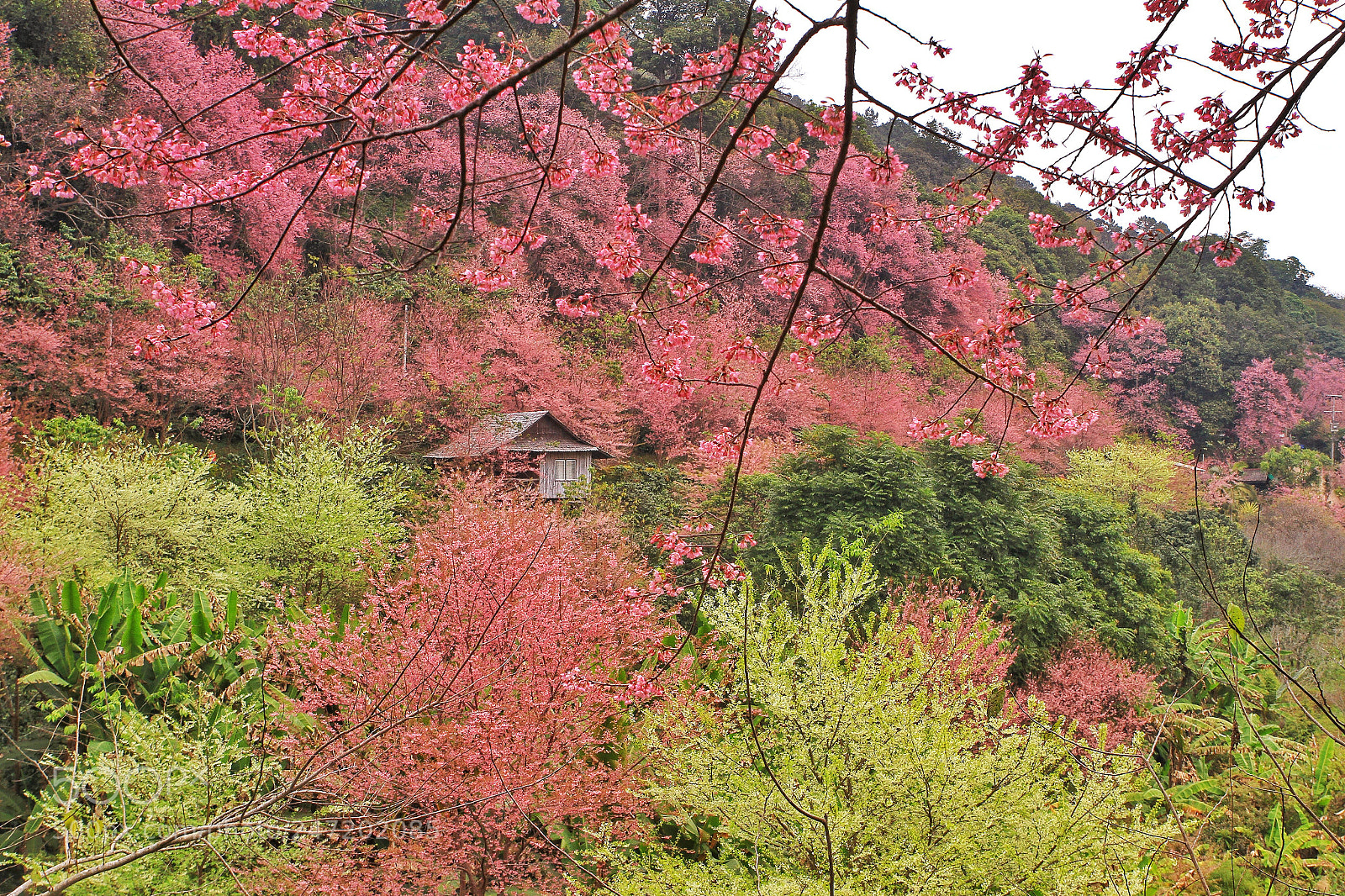 Canon EOS 7D sample photo. Untitled photography