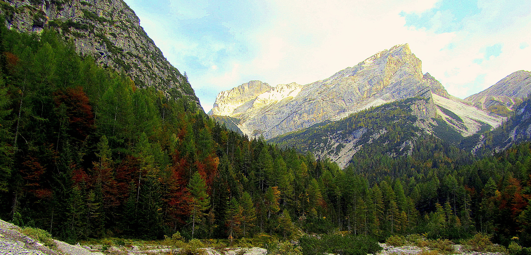 Canon PowerShot SX210 IS sample photo. Paesaggio di montagna, camminando tra le pinete. photography