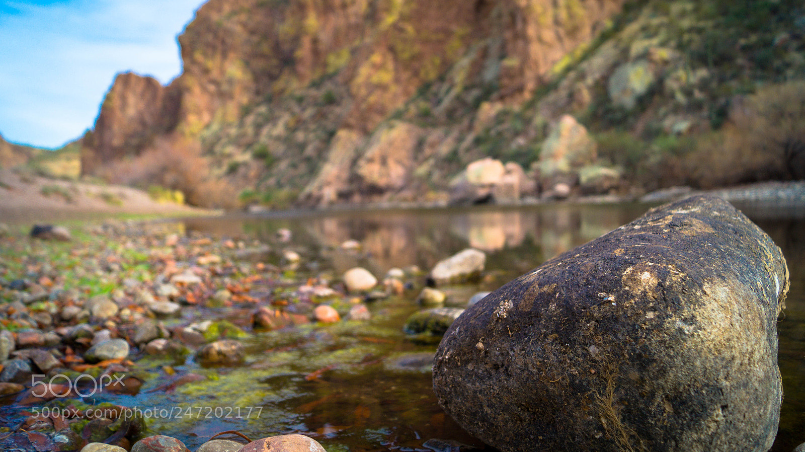 Sony SLT-A58 sample photo. Rock out of water photography