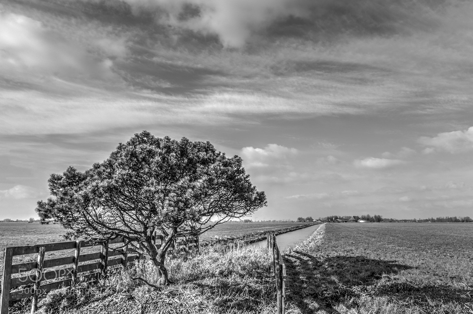 Pentax K-7 sample photo. Monochromed photography