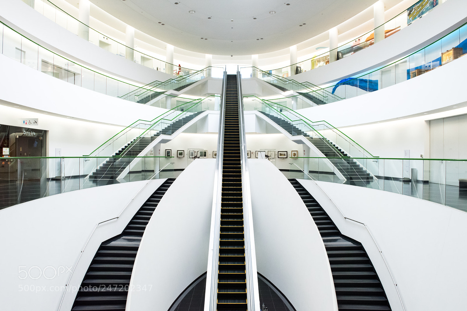 Nikon D810 sample photo. Symmetry and curves photography