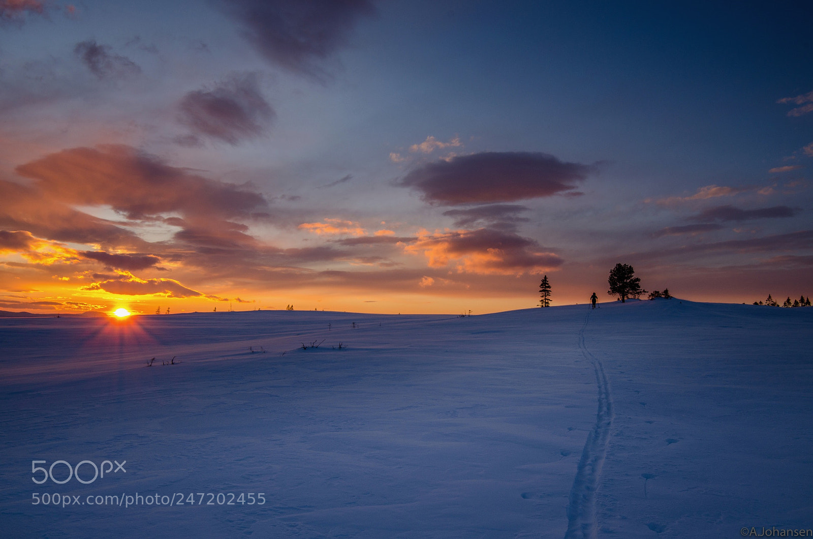 Nikon D5100 sample photo. Evening cross country skiing photography