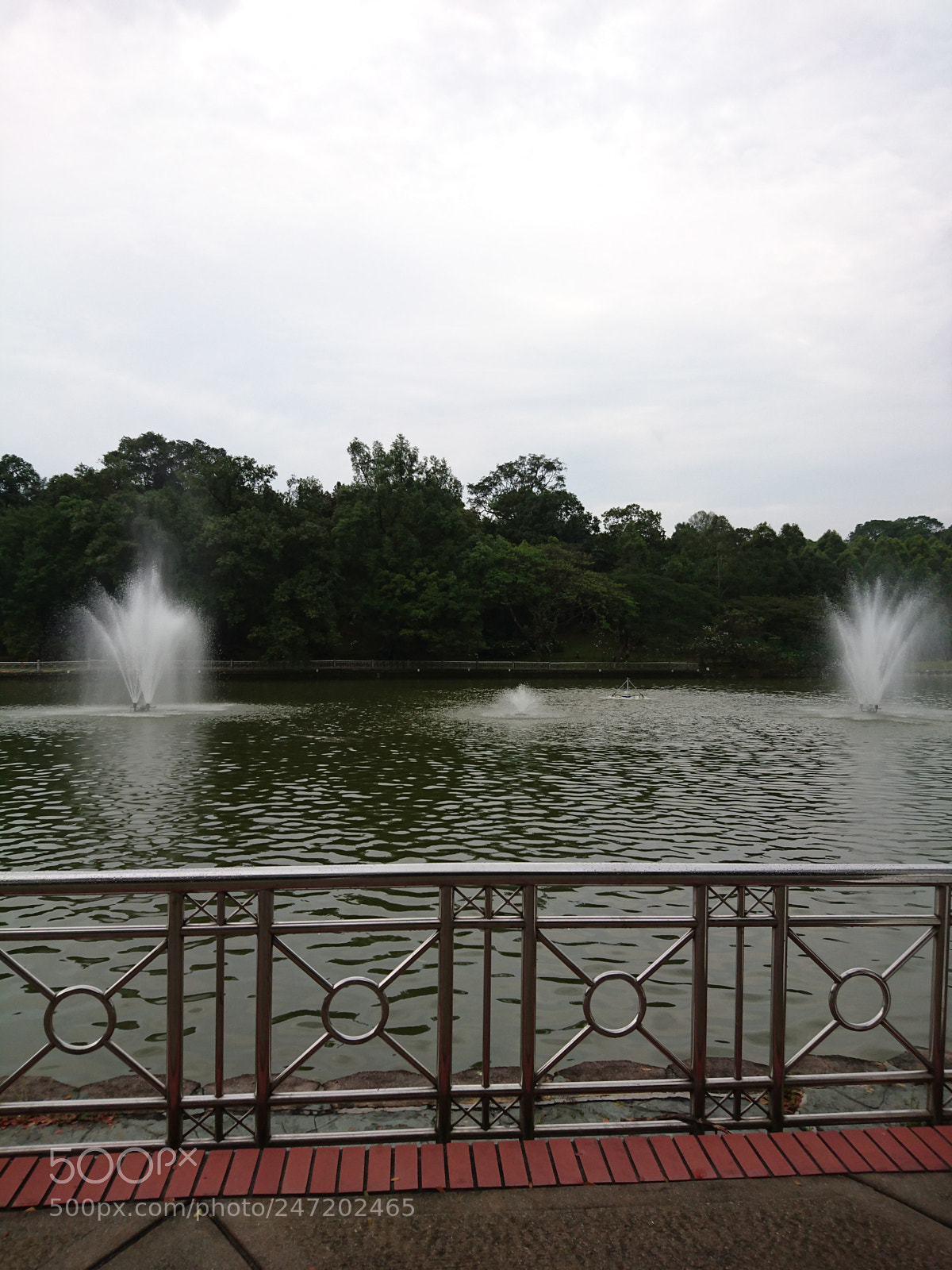 Sony Xperia Z5 sample photo. Untitled photography