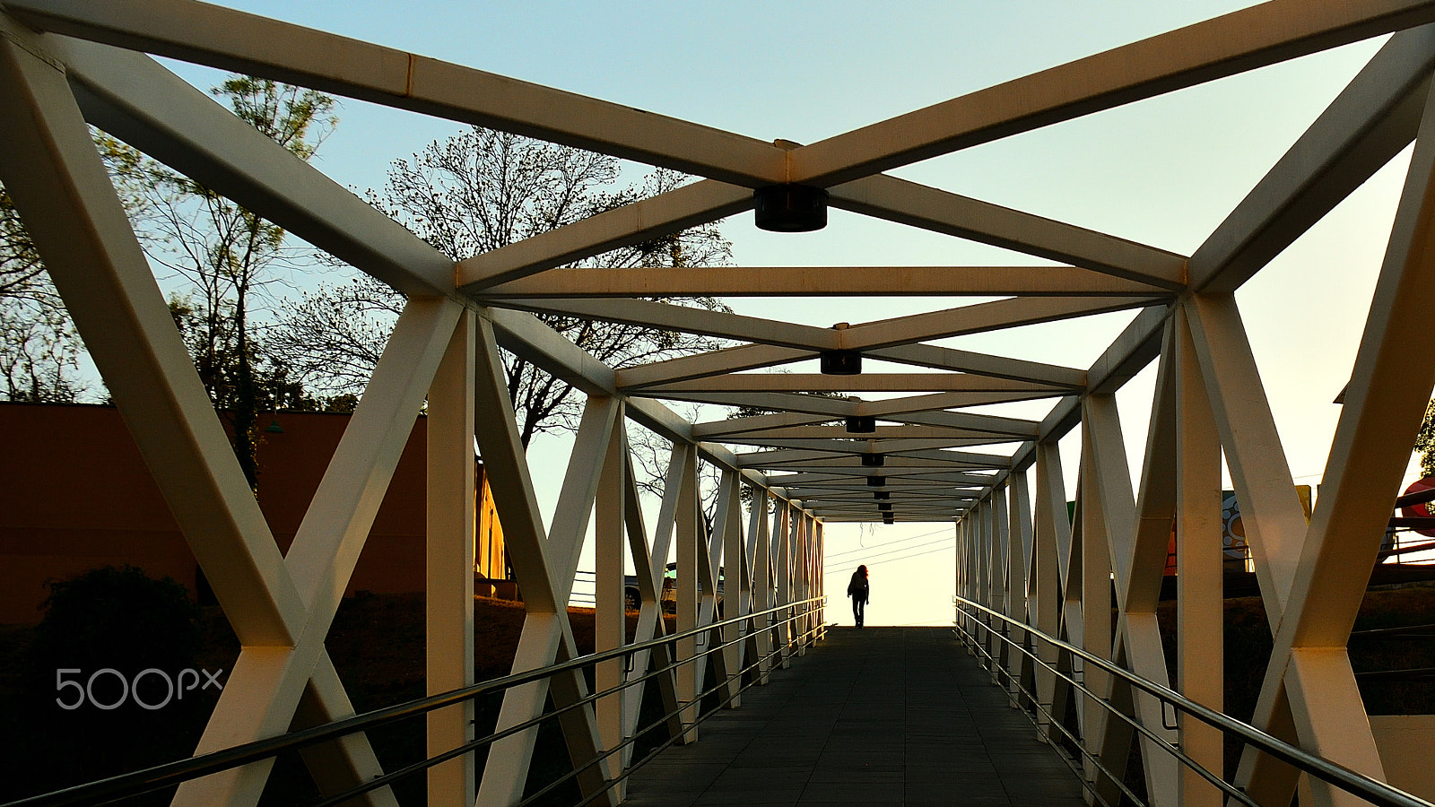 Nikon D5200 sample photo. Bridge to knowledge photography