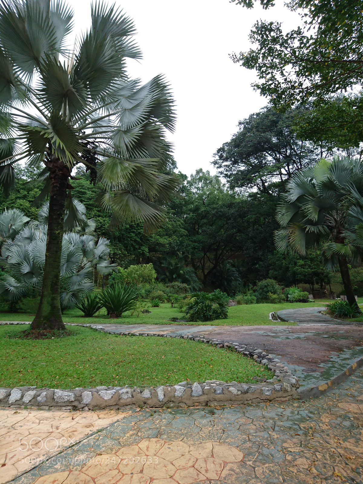 Sony Xperia Z5 sample photo. Untitled photography