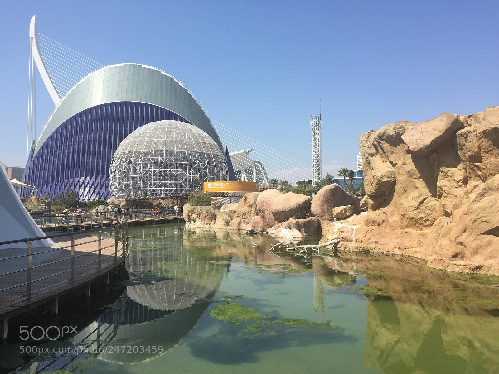 Apple iPhone 6 sample photo. Oceanografic photography