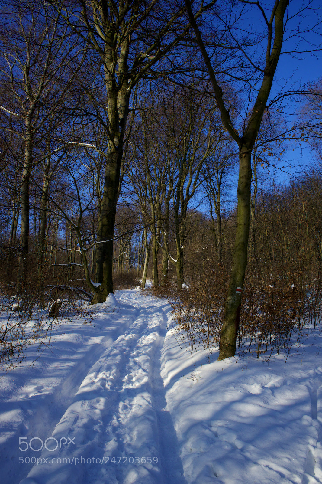 Sony a7 sample photo. On the right way photography