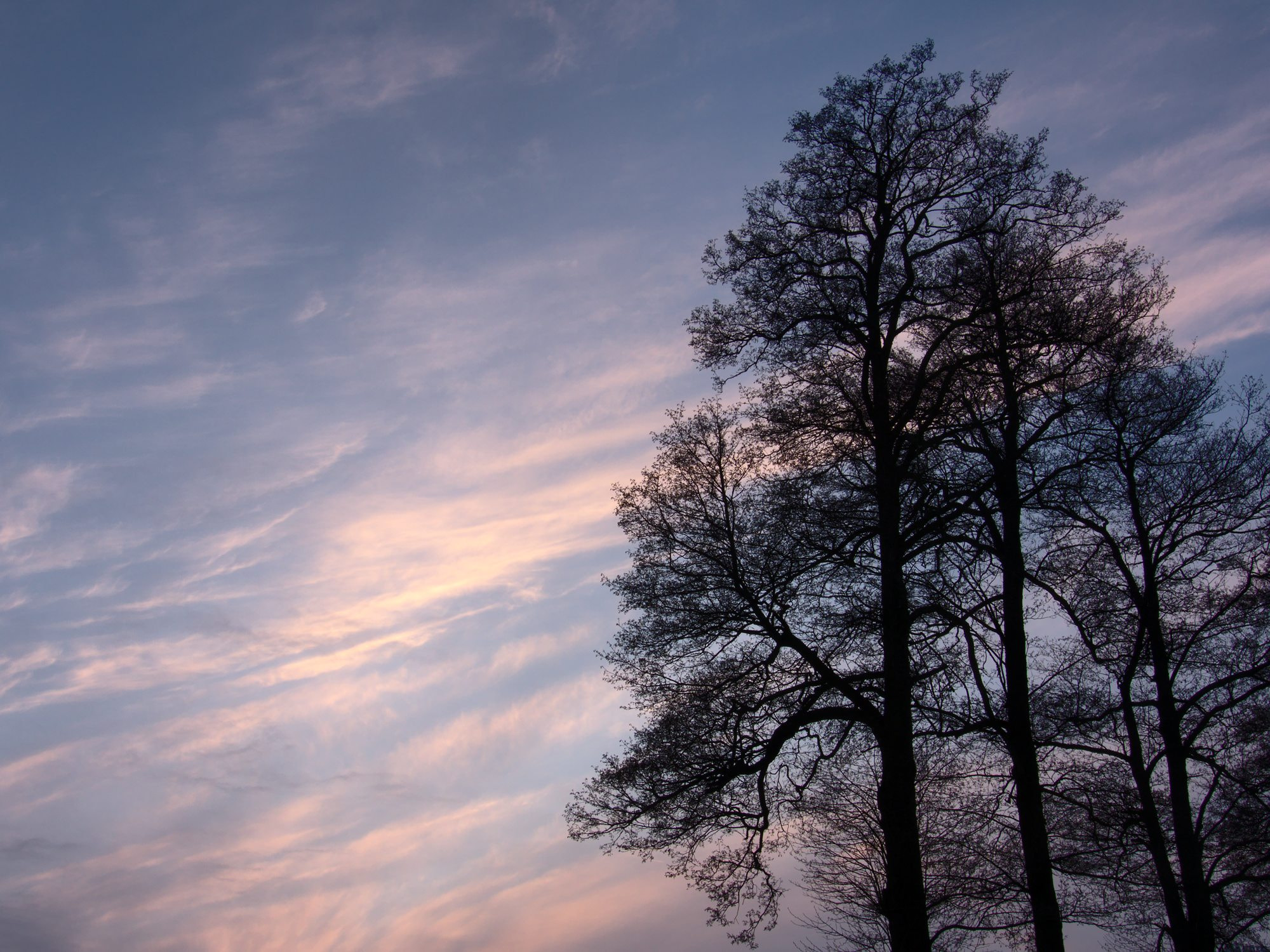 Nikon Coolpix P7800 sample photo. Calm evening photography