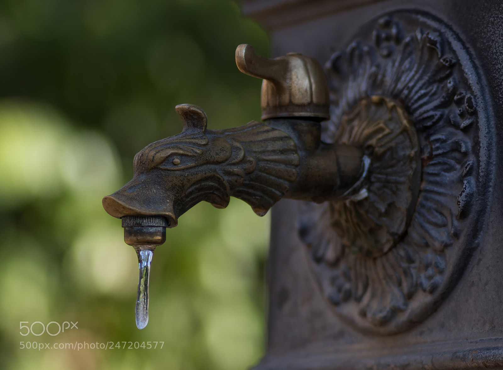 Nikon D500 sample photo. -3º c photography