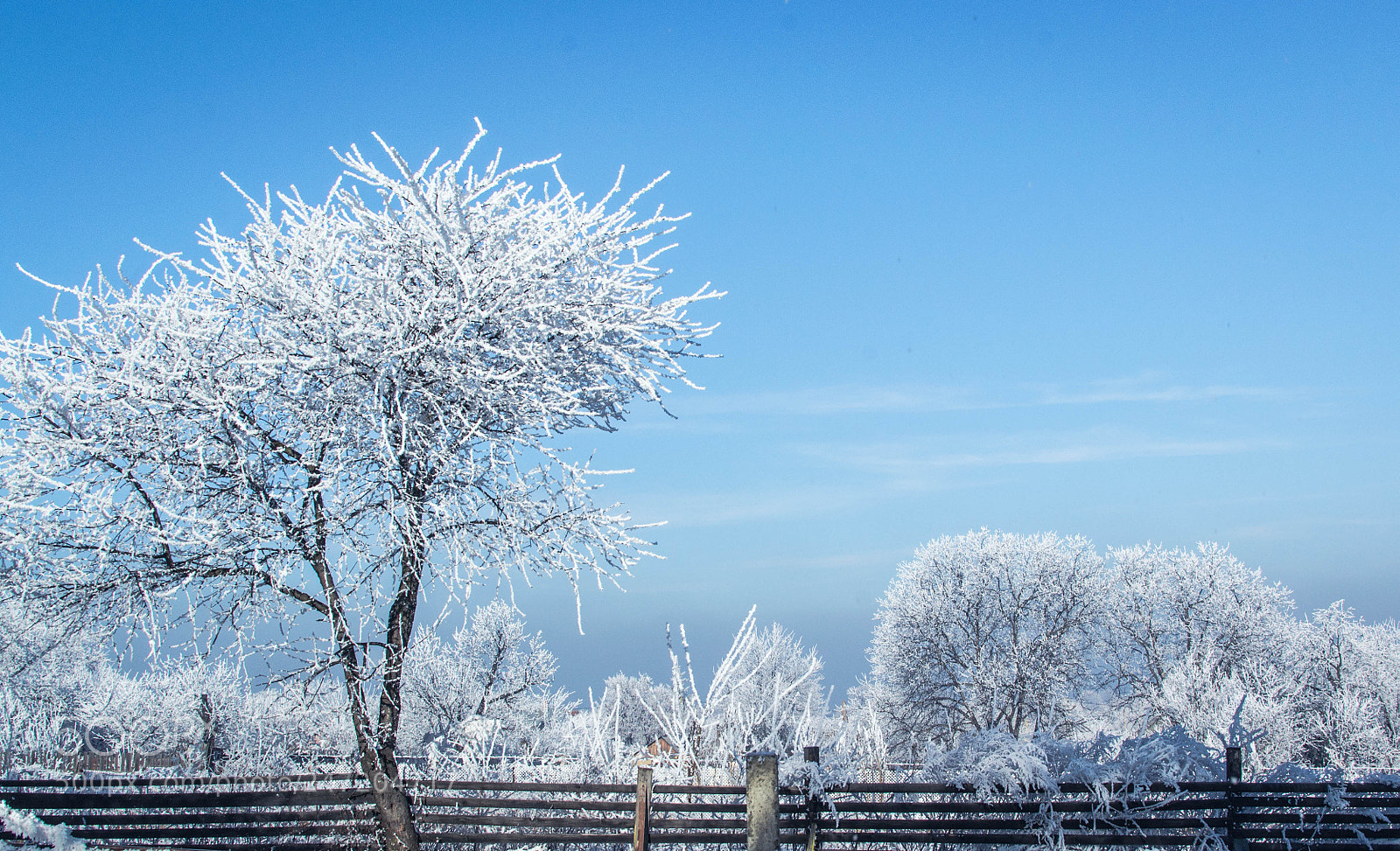 Nikon D3100 sample photo. Whiteandblue photography