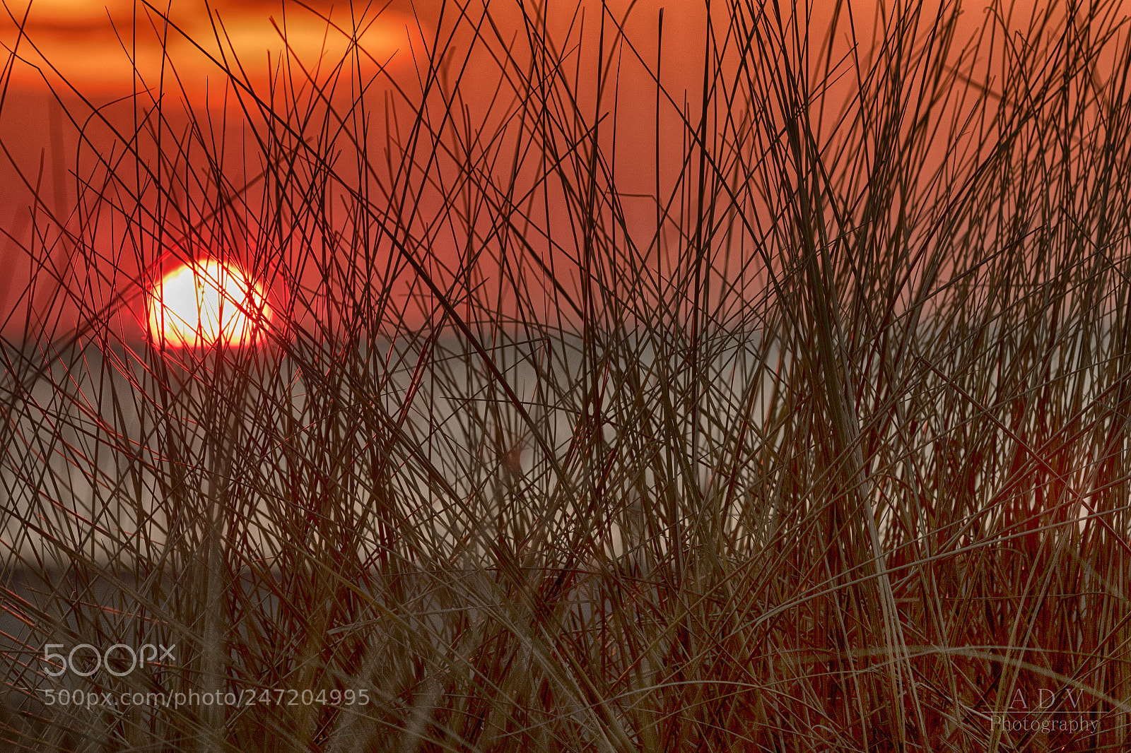 Canon EOS 7D Mark II sample photo. Sunset norddeich photography