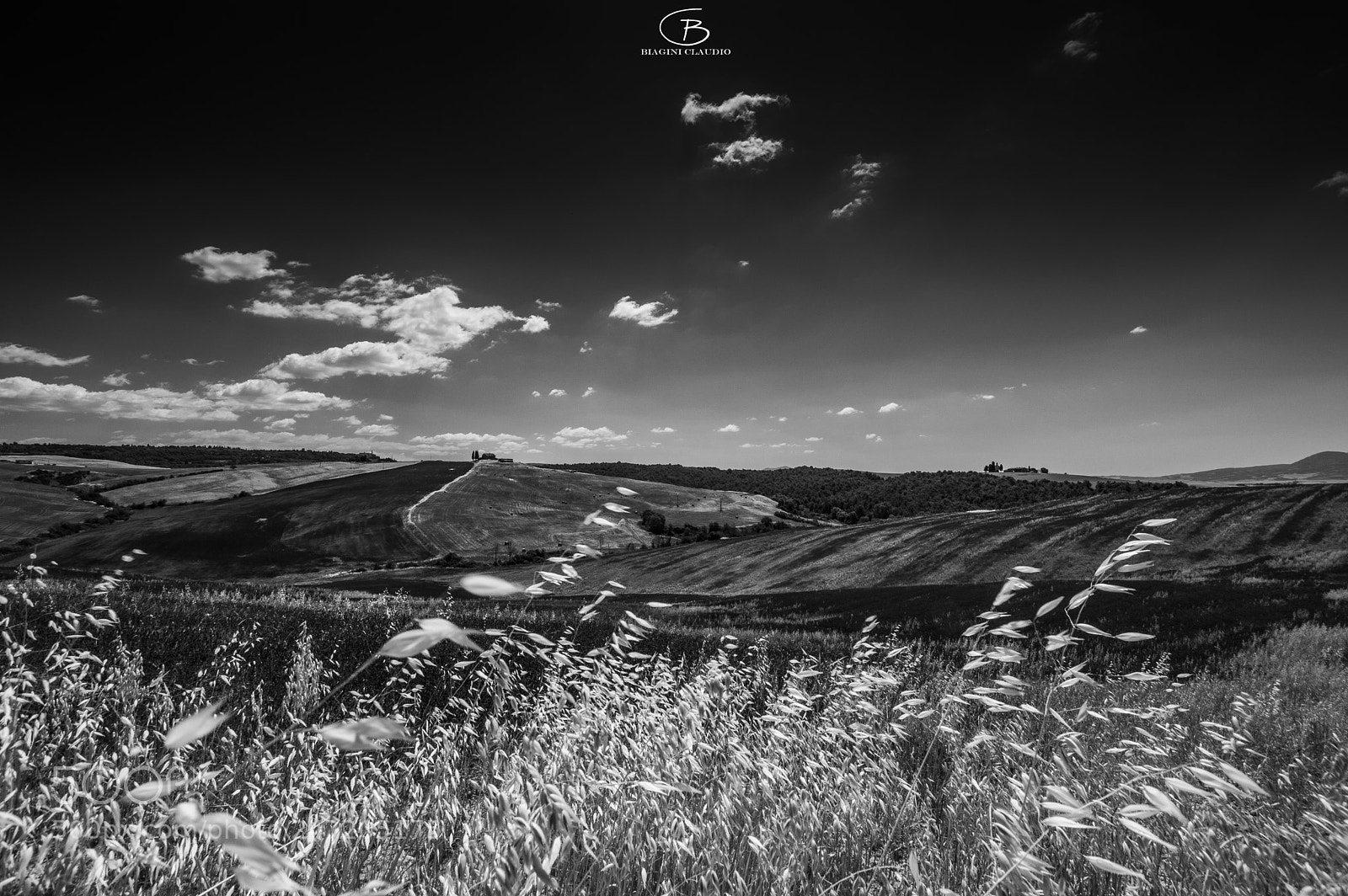 Nikon D3200 sample photo. Val d'orcia 18/06/2017 photography