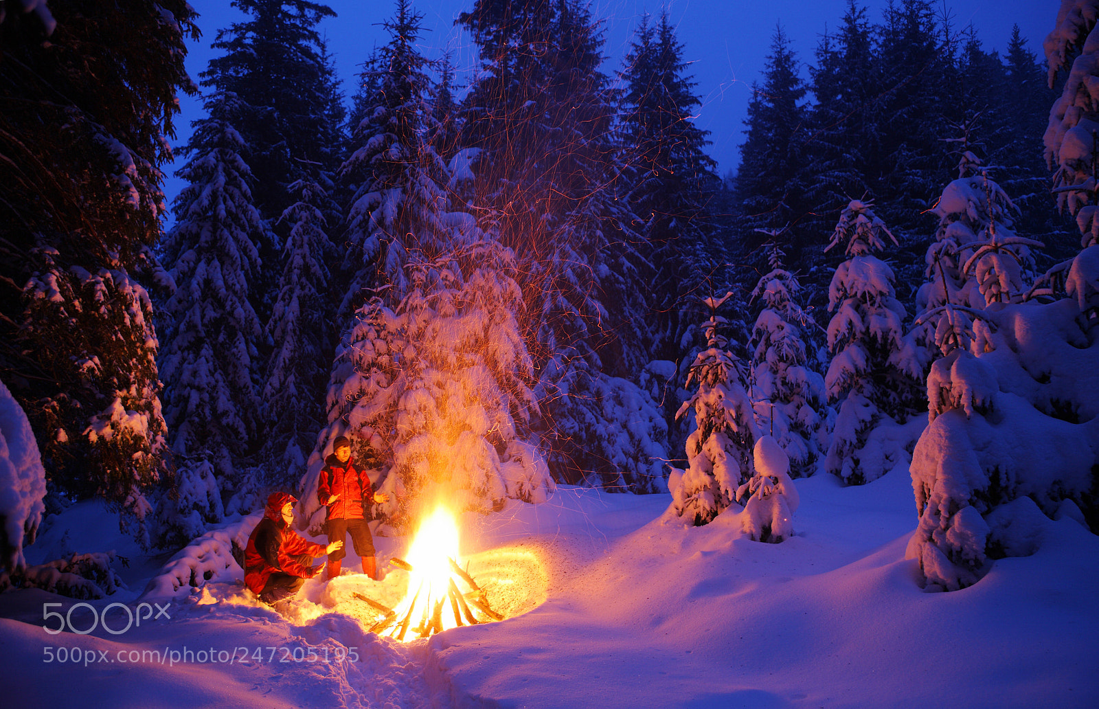 Canon EOS 5D sample photo. Winter fairy tale photography