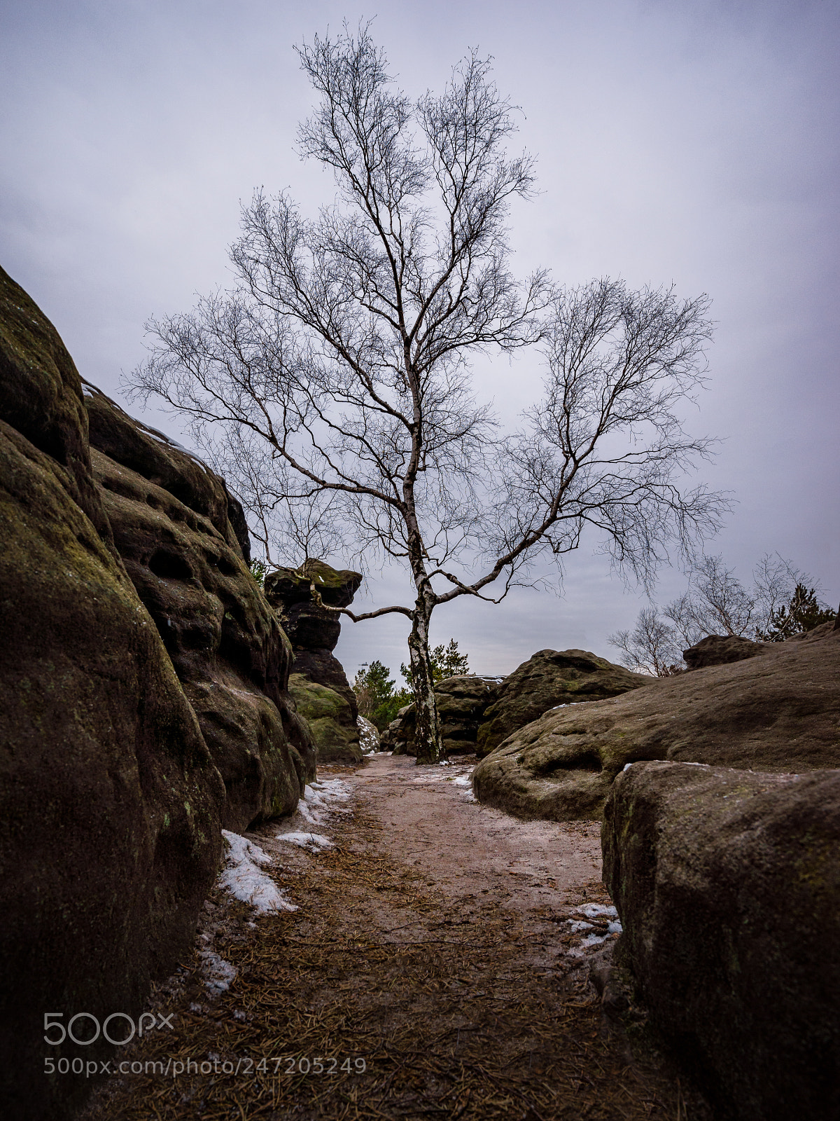 Sony a7 sample photo. Rise up and live photography
