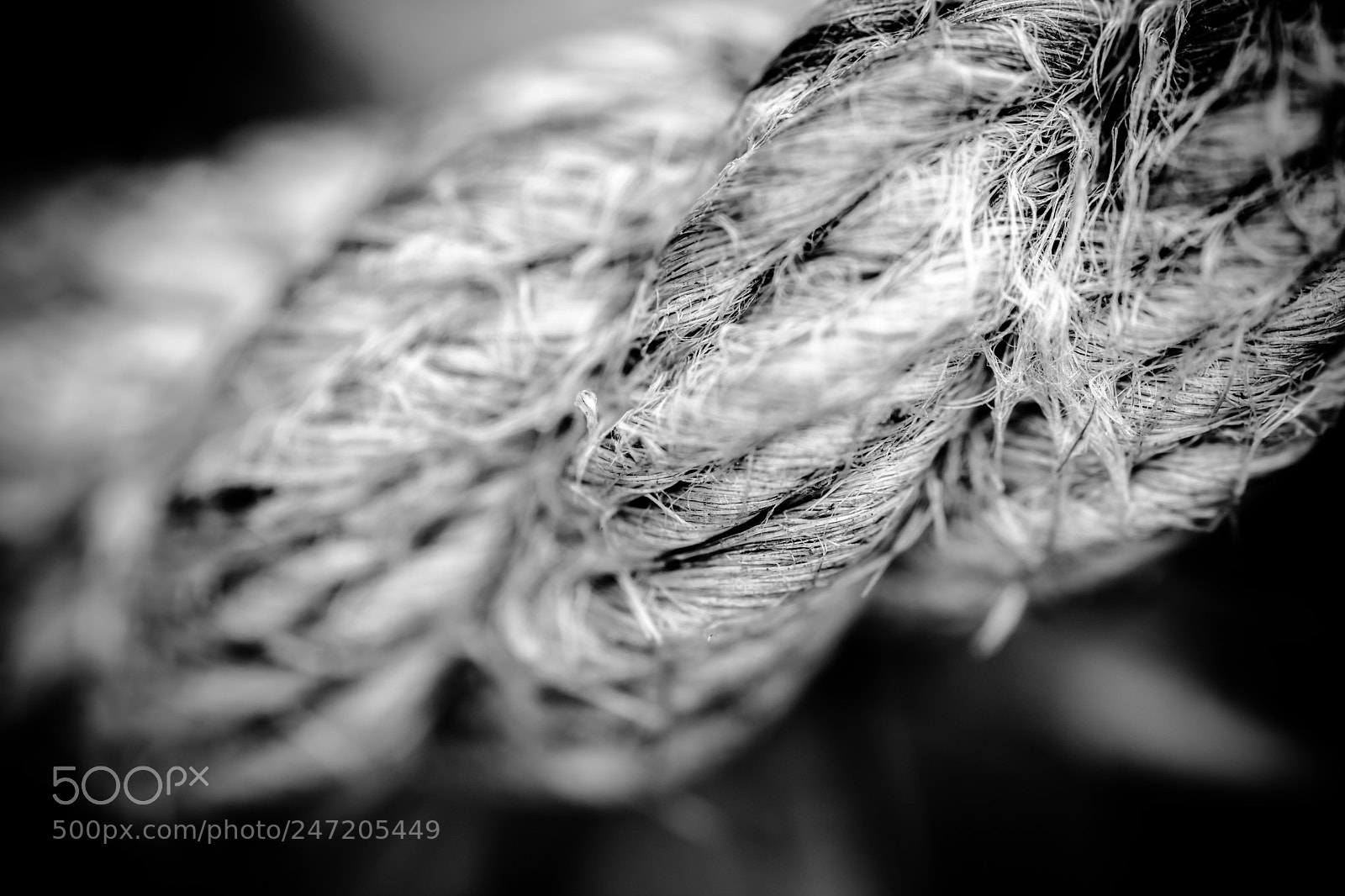 Nikon D7200 sample photo. Ataduras... photography