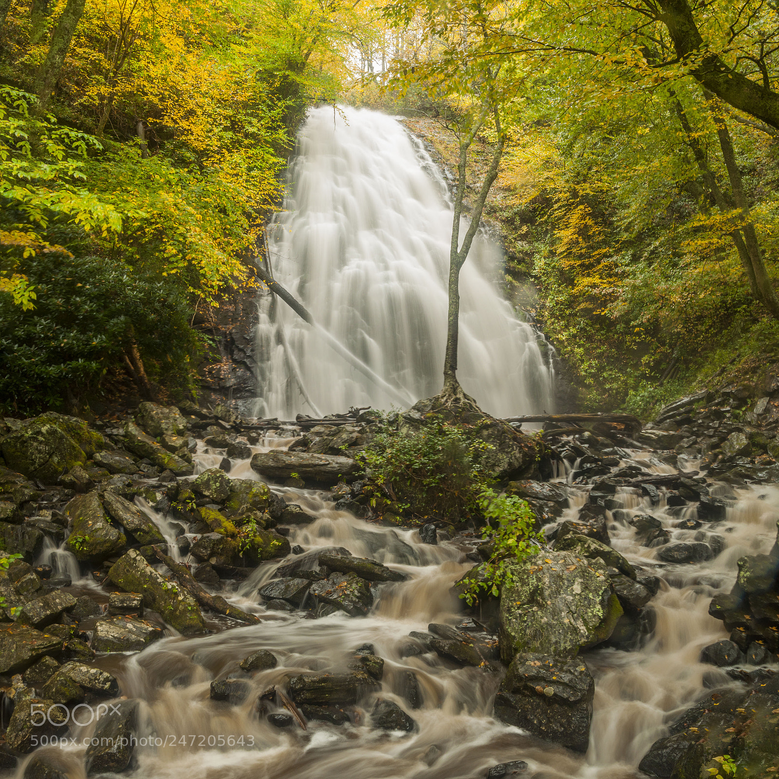 Nikon D90 sample photo. Crabtree falls in hurricane photography