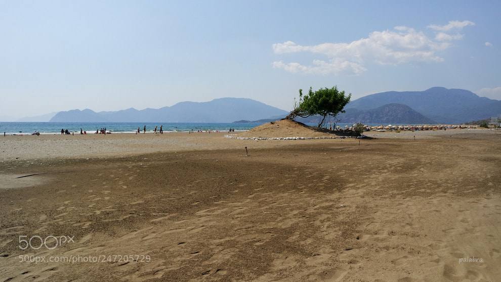 Samsung NX3000 sample photo. ... photography