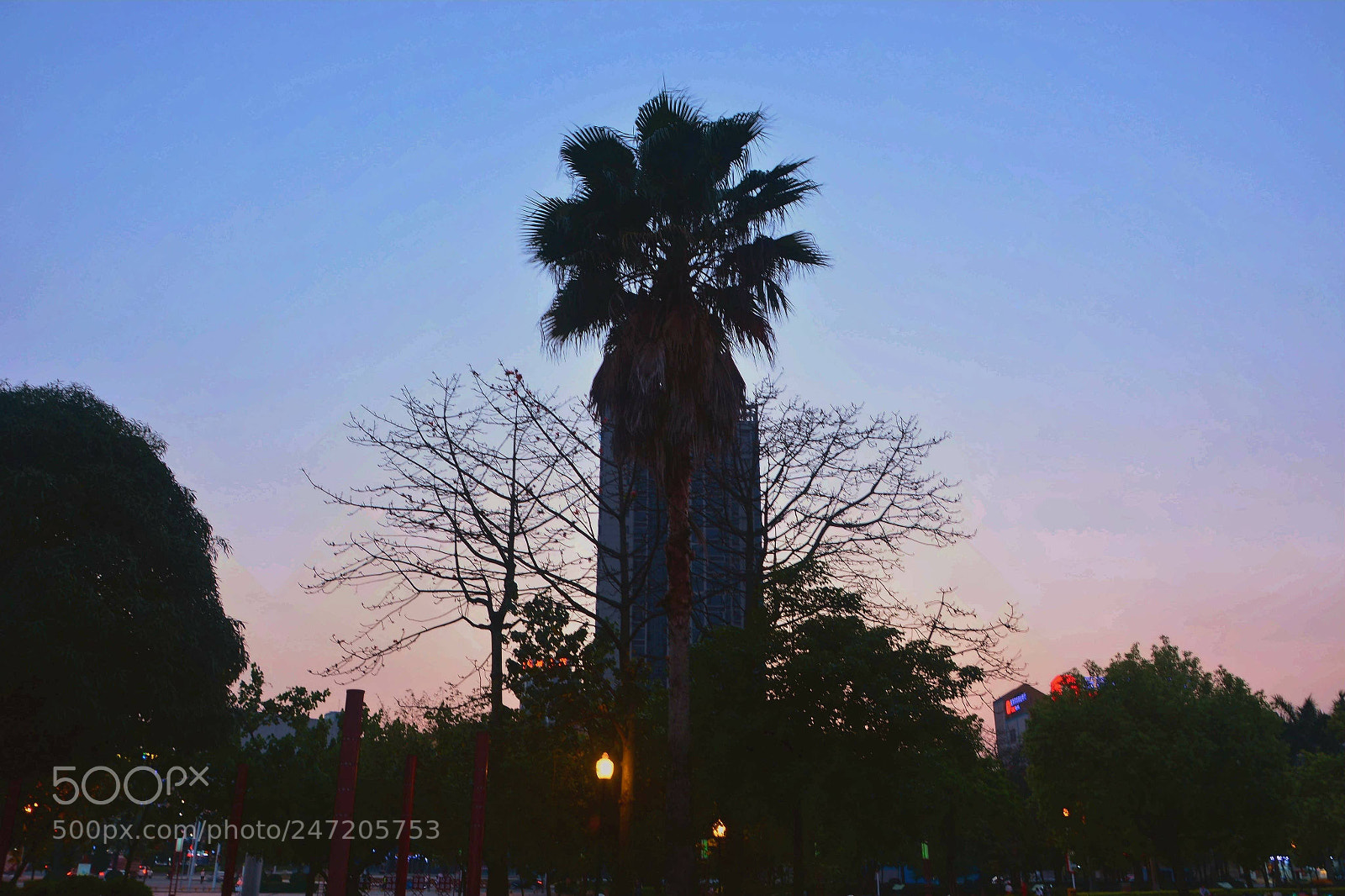 Nikon D7100 sample photo. The setting sun photography