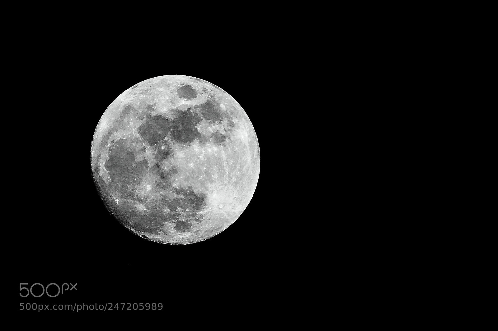 Nikon D7100 sample photo. Mooon photography