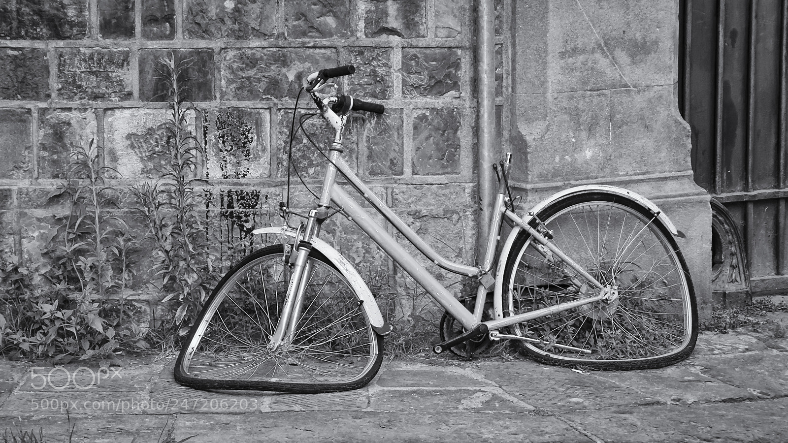 Nikon D90 sample photo. Salvadore dali's bike photography