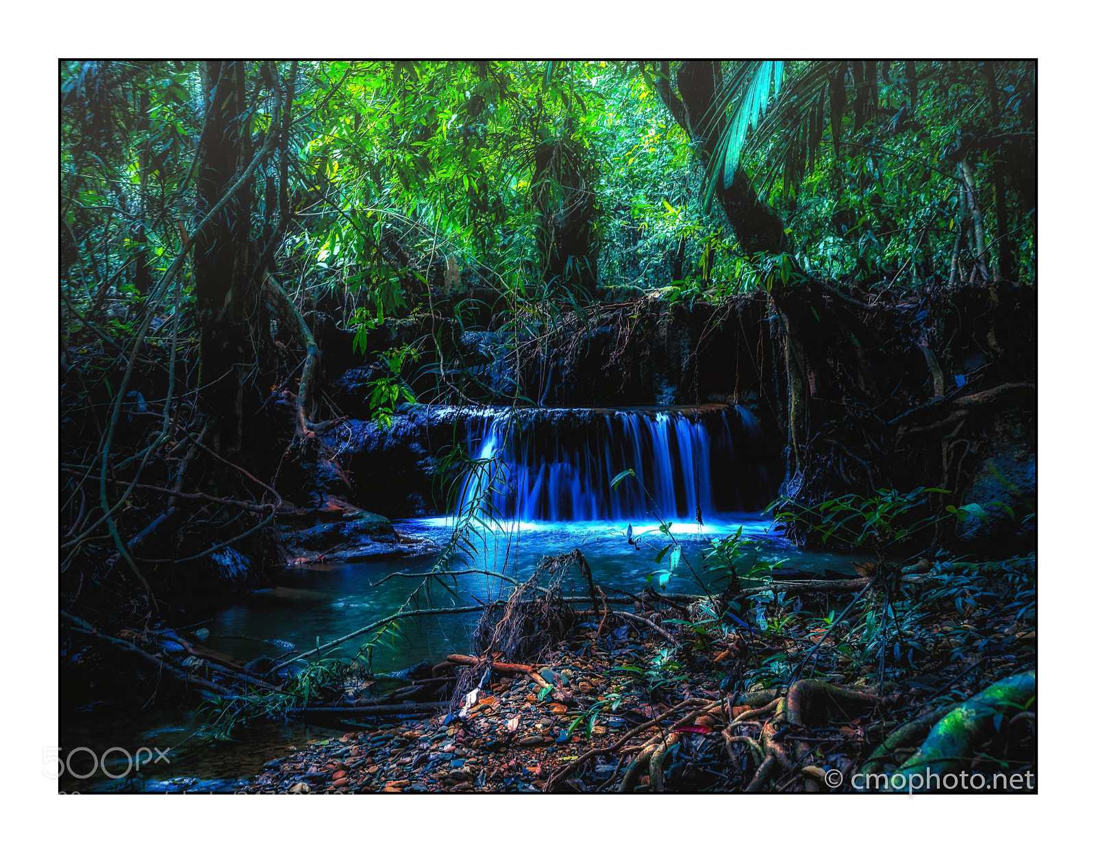 Olympus OM-D E-M1 Mark II sample photo. “jungle water” photography