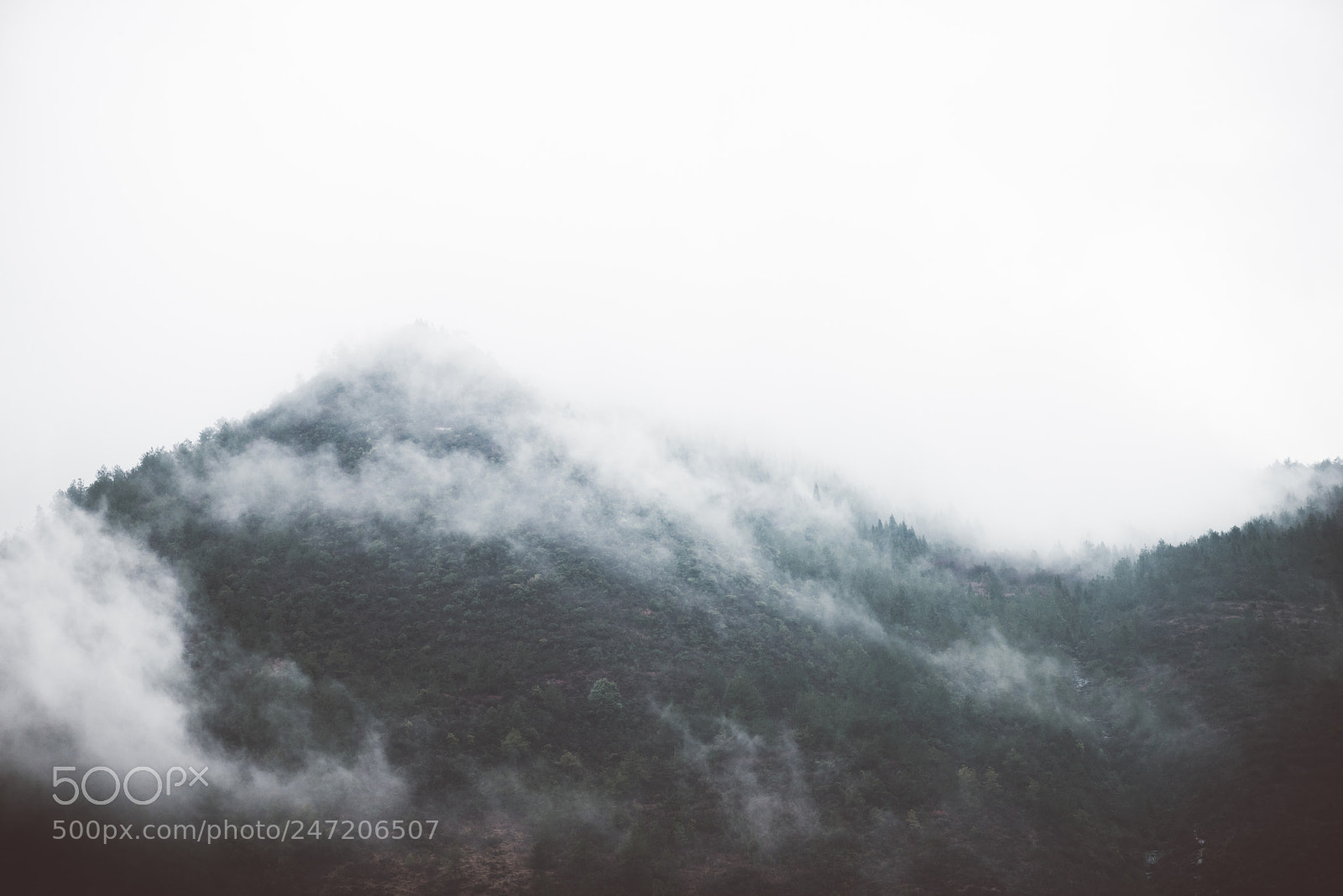 Nikon D810 sample photo. 大山 photography