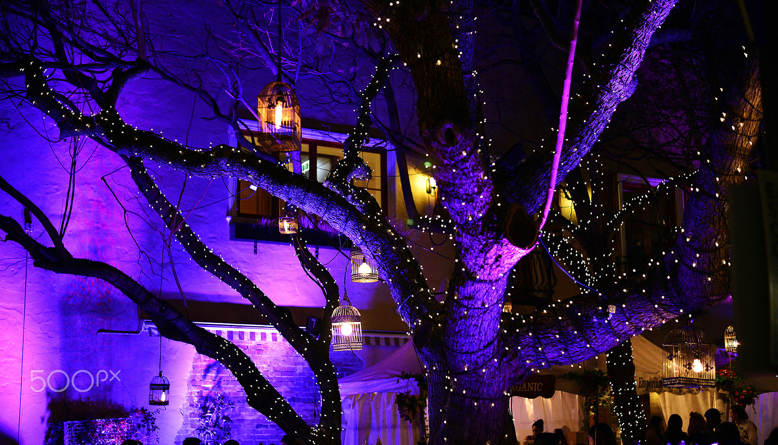 Nikon D610 + Nikon AF-S Nikkor 50mm F1.8G sample photo. Night lanterns..2 photography