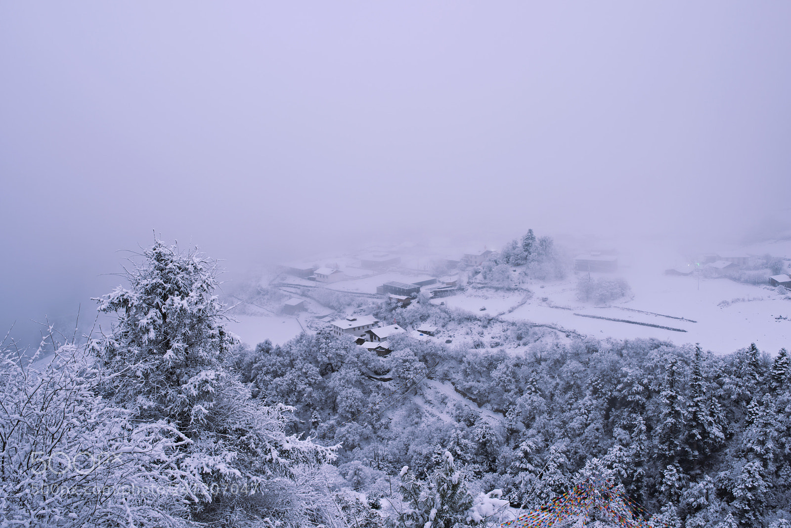 Nikon D800 sample photo. Snow photography