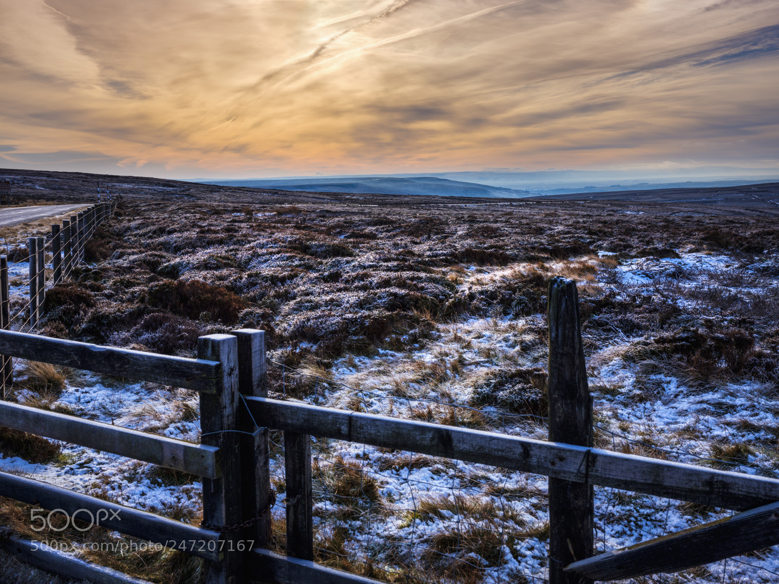Fujifilm GFX 50S sample photo. A cold and frosty photography