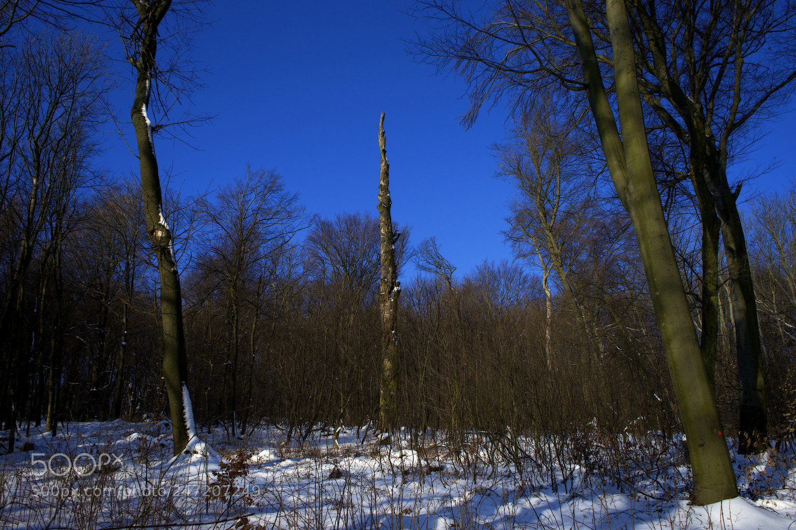 Sony a7 sample photo. Milestone of time photography