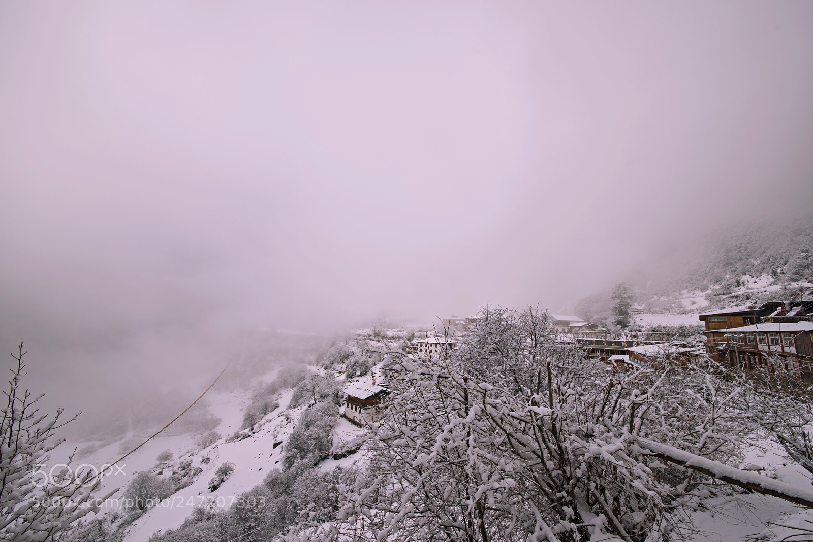 Nikon D800 sample photo. Snow photography