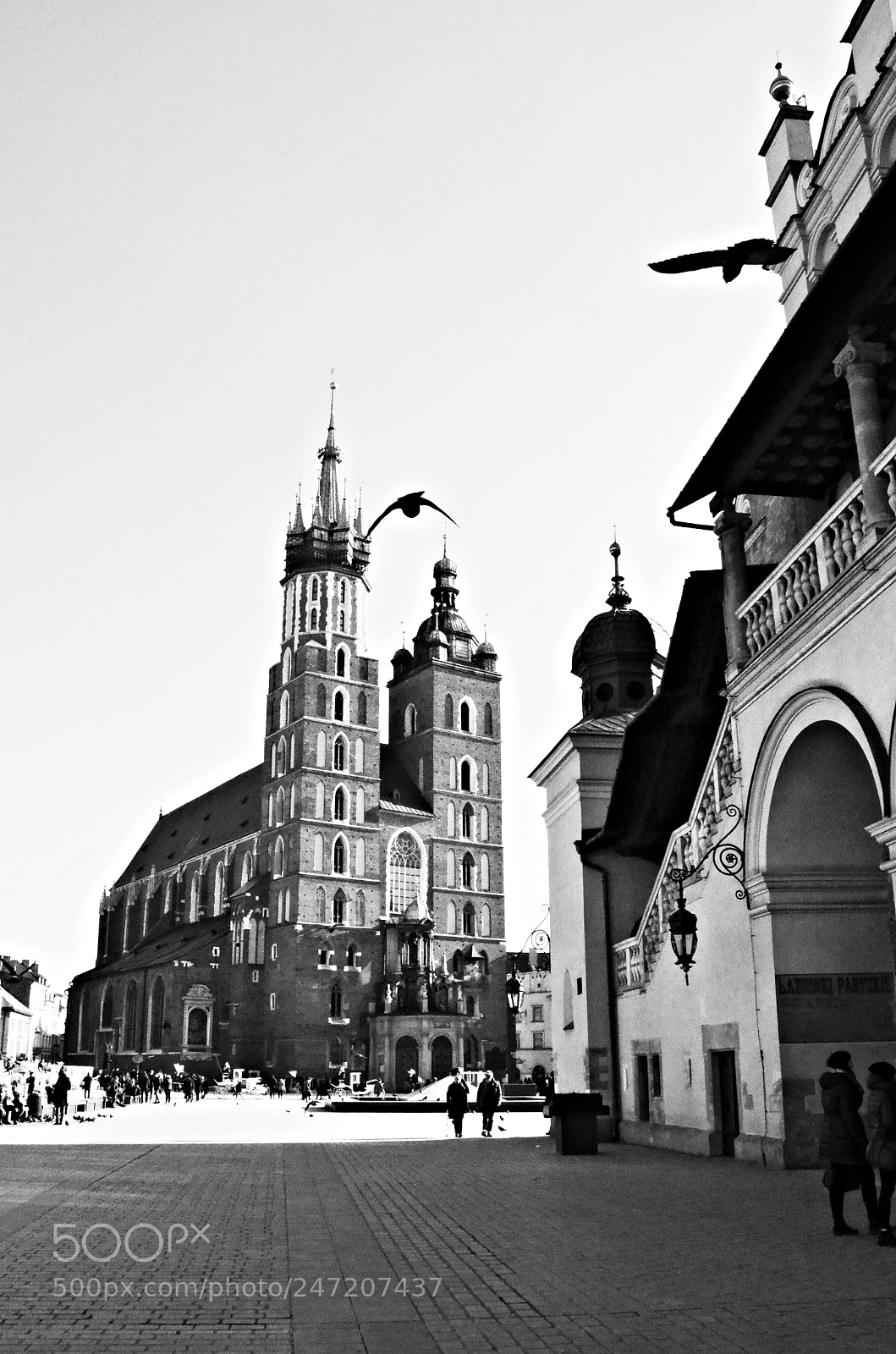 Nikon D5100 sample photo. Krakowski rynek główny. photography