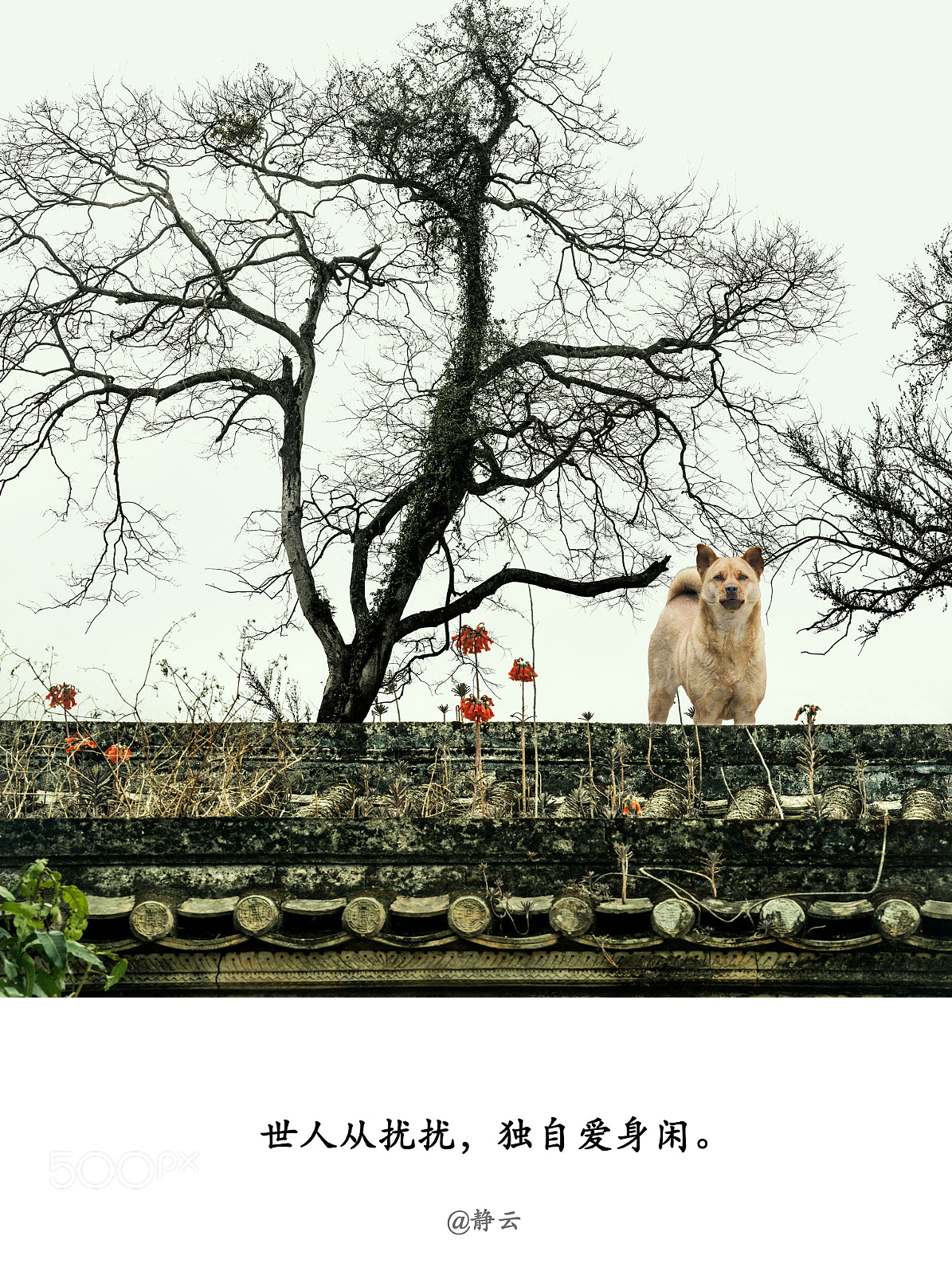 Nikon D810 sample photo. Untitled photography